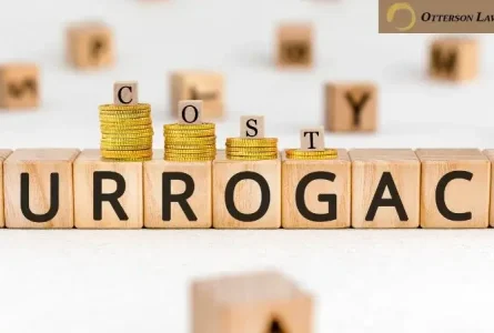 How Much Does Surrogacy Cost in Alaska?